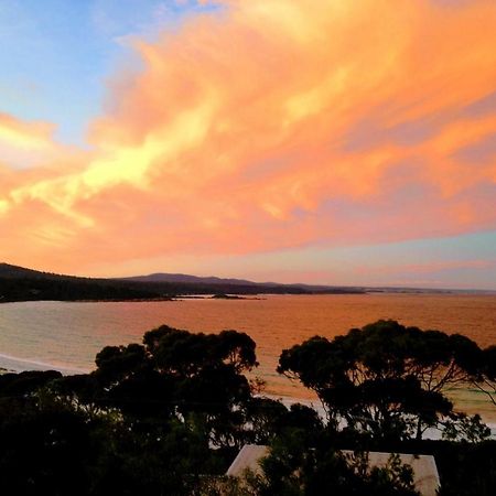 Dolphin Lookout Cottage - Amazing Views Of The Bay Of Fires Binalong Bay Extérieur photo