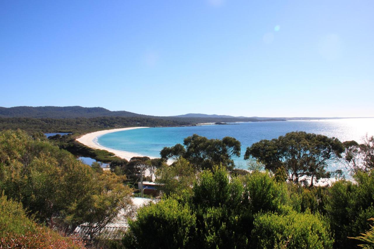 Dolphin Lookout Cottage - Amazing Views Of The Bay Of Fires Binalong Bay Extérieur photo